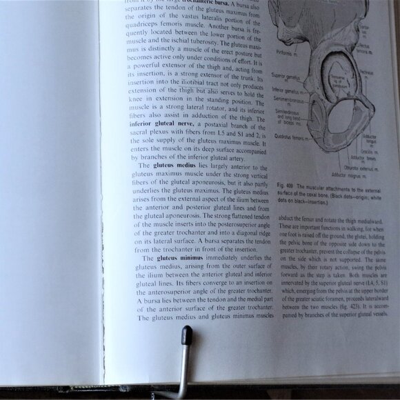 Vintage Medical Book "Essentials of Human Anatomy, Fourth Edition" 1969 Oxford - Picture 8 of 9